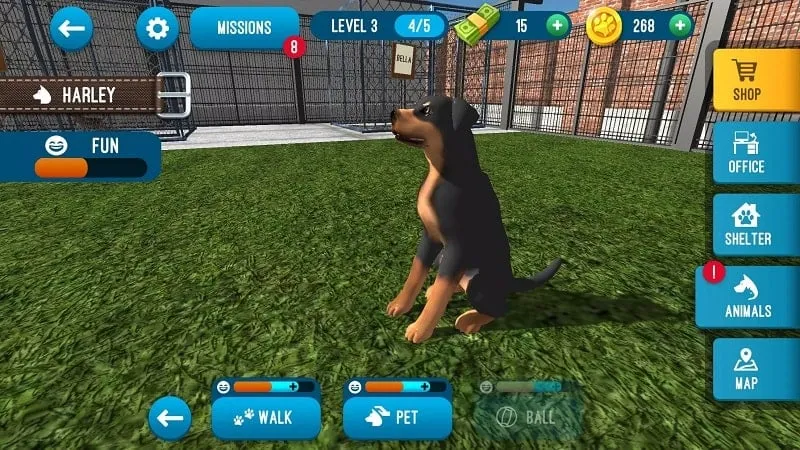 Captura de tela da jogabilidade do Animal Shelter Simulator mostrando a moeda do jogo.