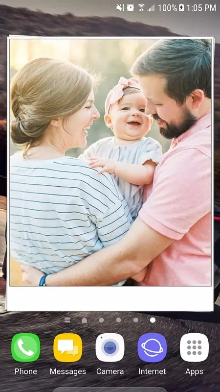 Steps to install the Animated Photo Widget mod