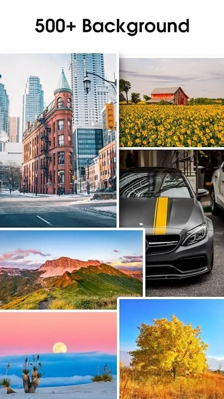 Auto Background Changer mod interface showing premium features