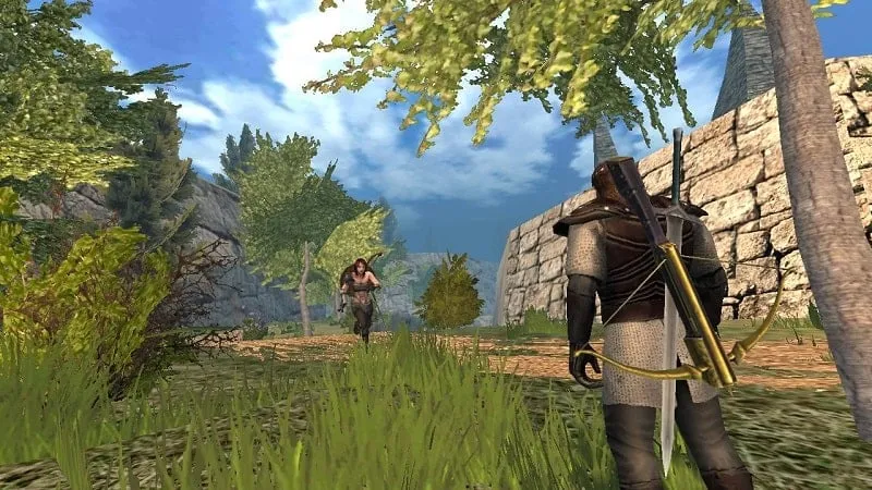 Screenshot yang menampilkan sumber daya tak terbatas yang tersedia di BARBARIAN mod.