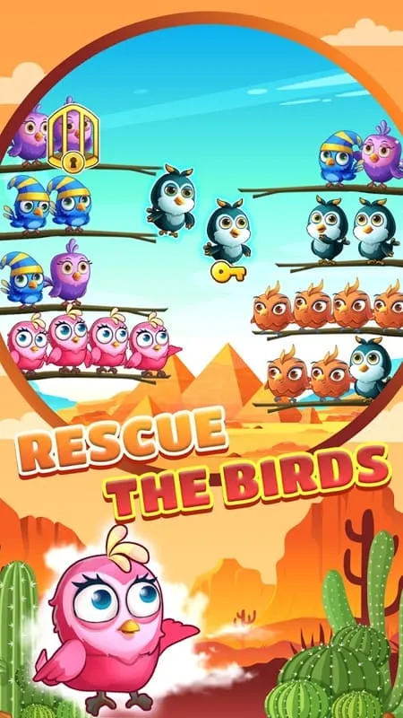 Bird Sort Puzzle Color Game APK gratis para descargar