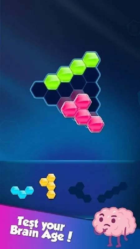 Hình ảnh các màn chơi khác nhau trong Block! Hexa Puzzle với độ khó tăng dần.