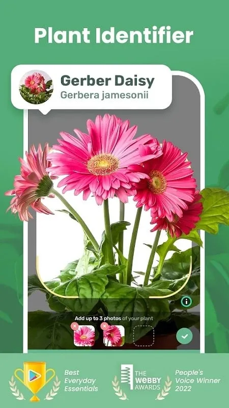 Blossom mod displaying plant care guide