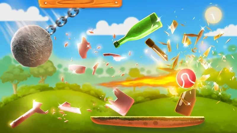 Various levels and challenges in Bottle Shooting Game.