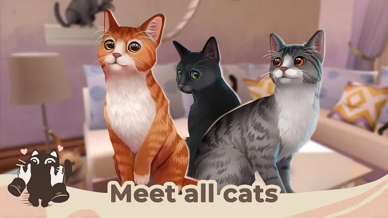 Cat Rescue Story gameplay showcasing shelter decoration.