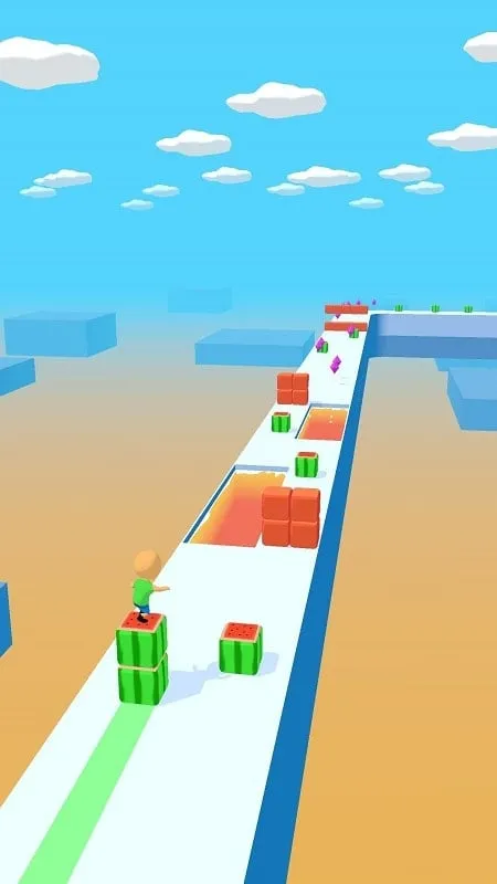 Customizing Cube Surfer with various characters and cubes.