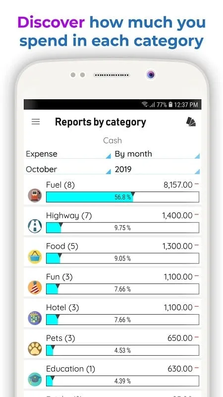 Daily Expenses 3 mod interface with detailed reporting features