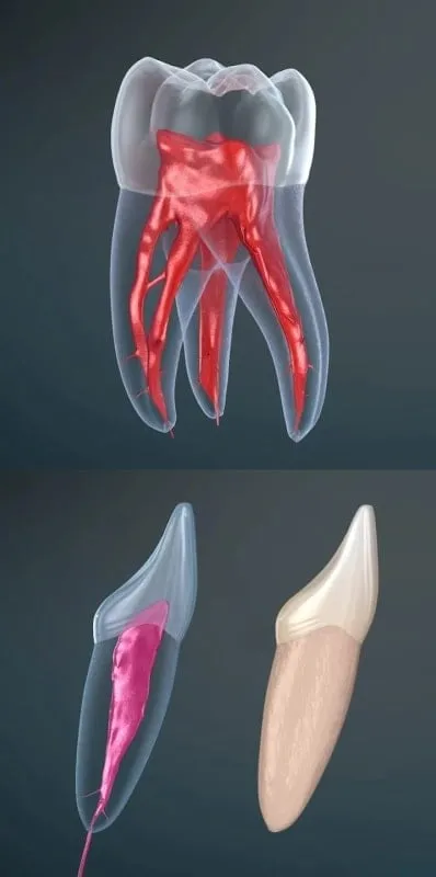 Dental 3D Illustrations mod interface showing premium features