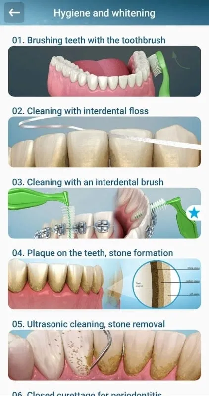 Dental 3D Illustrations mod apk interface
