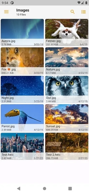 Criptografia do Fennec File Manager Mod APK