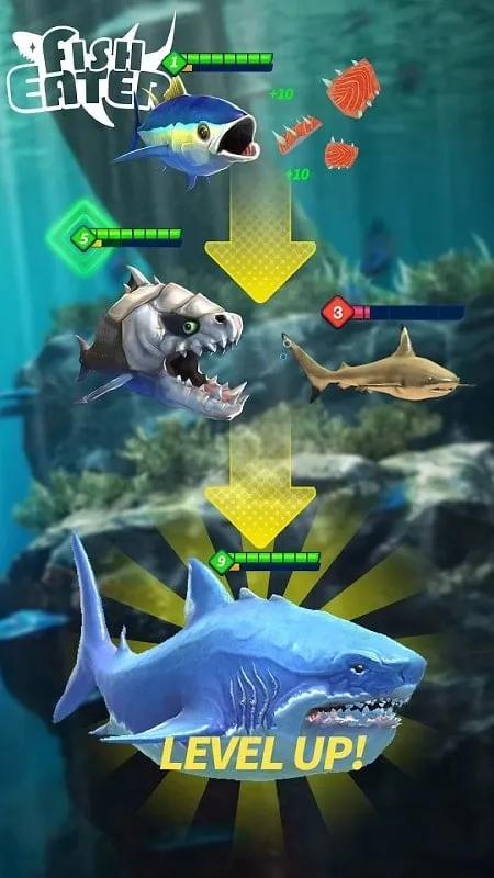 A screenshot showcasing the diverse fish species available in the Fish Eater.io mod.