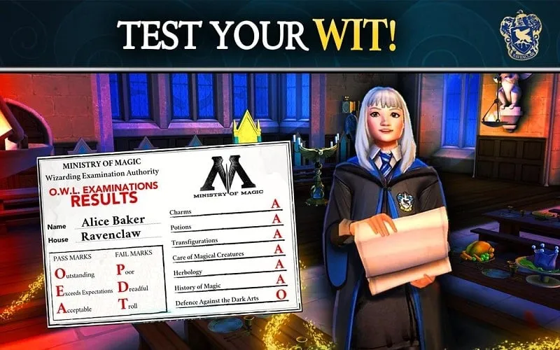 Informasi kompatibilitas Harry Potter: Hogwarts Mystery MOD APK