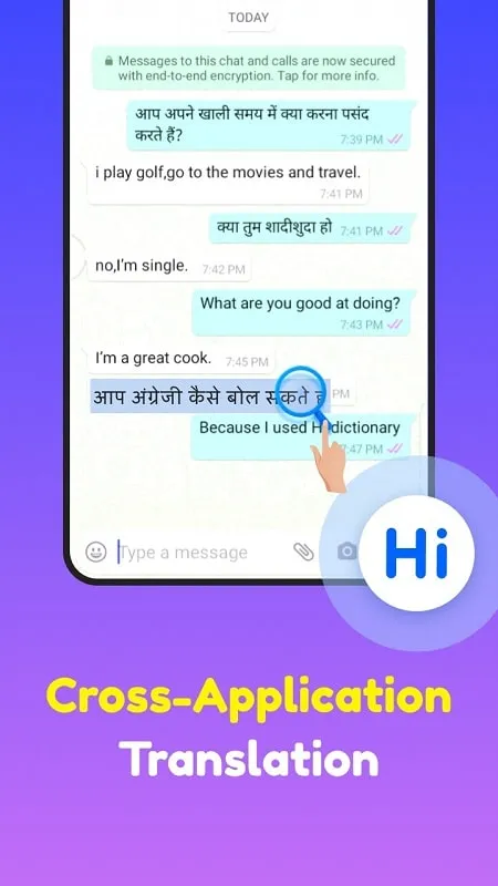 Hi Dictionary mod conversation translation demonstration