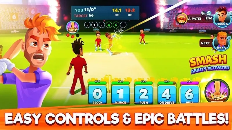 Managing your cricket team and resources.