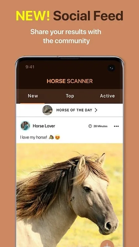 Horse Scanner app community features and user interaction