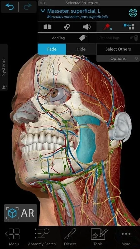 Interface do mod Human Anatomy Atlas 2021 mostrando recursos premium