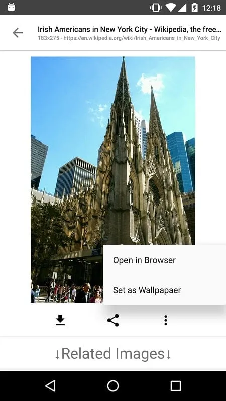 Image Search ImageSearchMan mod free interface with filter options