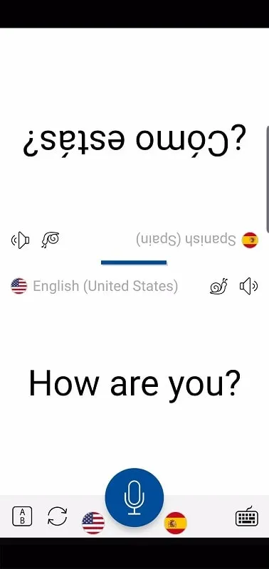 Instant Voice Translate with bilingual conversation feature