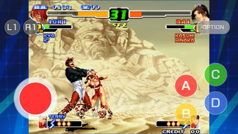 In-game screenshot displaying the health bars and special move gauges.