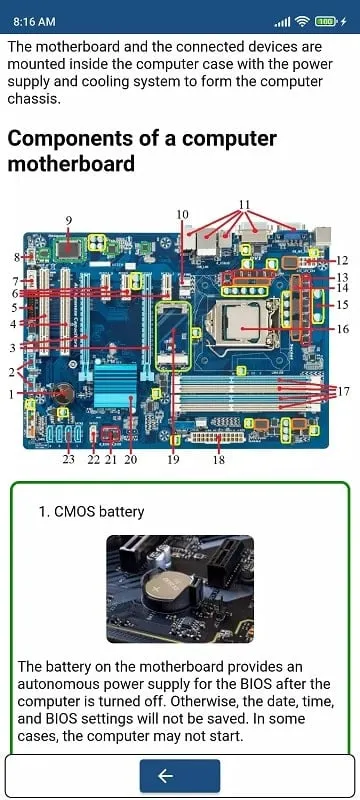 Learn Computer Basics app running on an Android device.