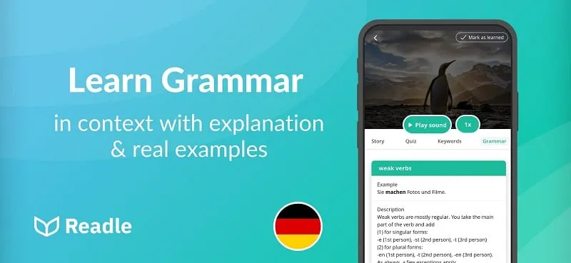 Dicas de solução de problemas do mod Learn German