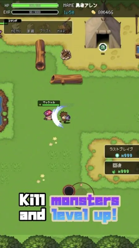 Gameplay screenshot showing combat in LevelUp RPG 2D.