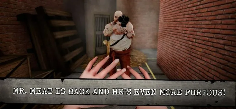 Mr. Meat in his prison environment.