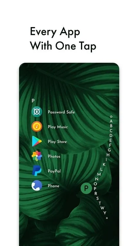 Menú de configuración de Niagara Launcher mostrando las funciones Pro