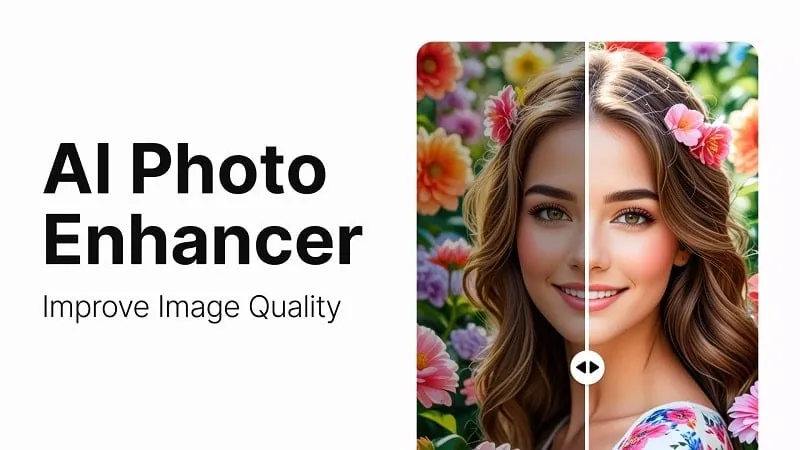 Photo Touch mod interface showing premium features