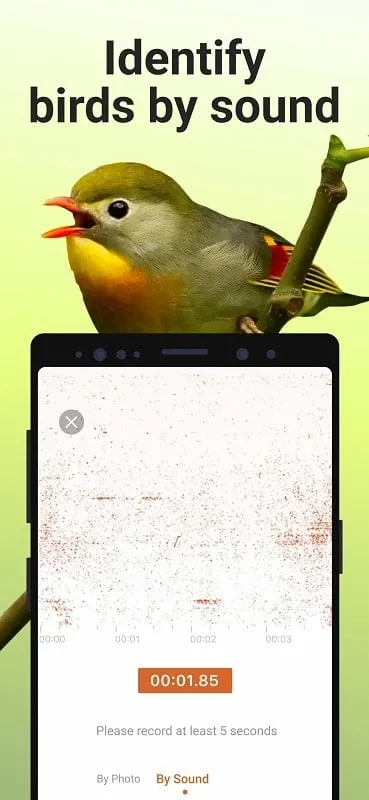 Menggunakan fitur identifikasi burung di Picture Bird MOD APK