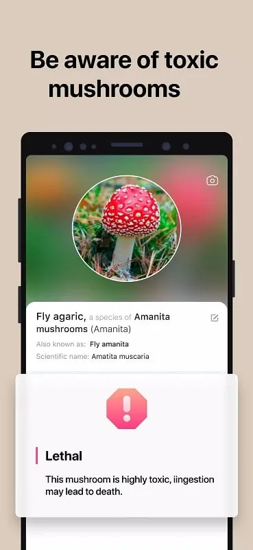 Using the Picture Mushroom mod to identify a mushroom