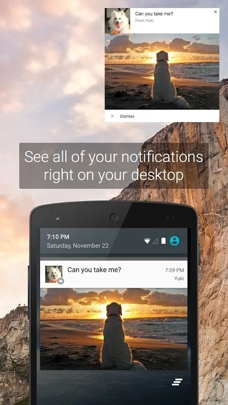 Pushbullet file transfer feature demonstration