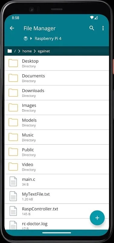 RaspController app displaying system information