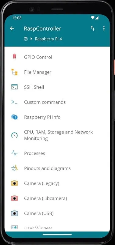 RaspController app managing connected devices