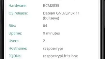 RaspController mod interface showing premium features