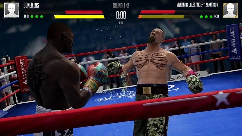 Hướng dẫn tải Real Boxing 2 MOD