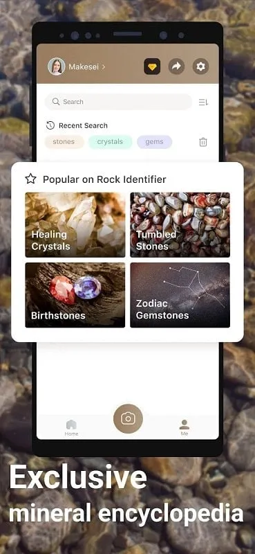 Sử dụng tính năng quét AI trong Rock Identifier Stone ID mod