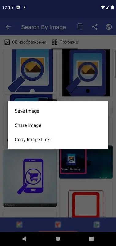 Search by image interface displaying search results