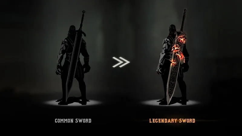 Shadow of Death 2 Installation Guide