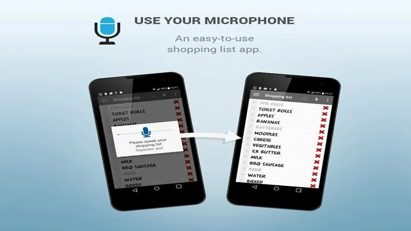 Shopping list voice input customized interface