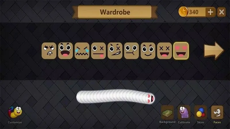 Different snake skins available in Snake Lite.