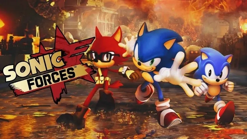 Sonic e seus amigos em uma corrida.