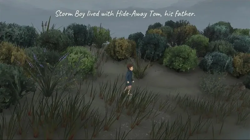 Toko dalam game Storm Boy dengan uang tak terbatas