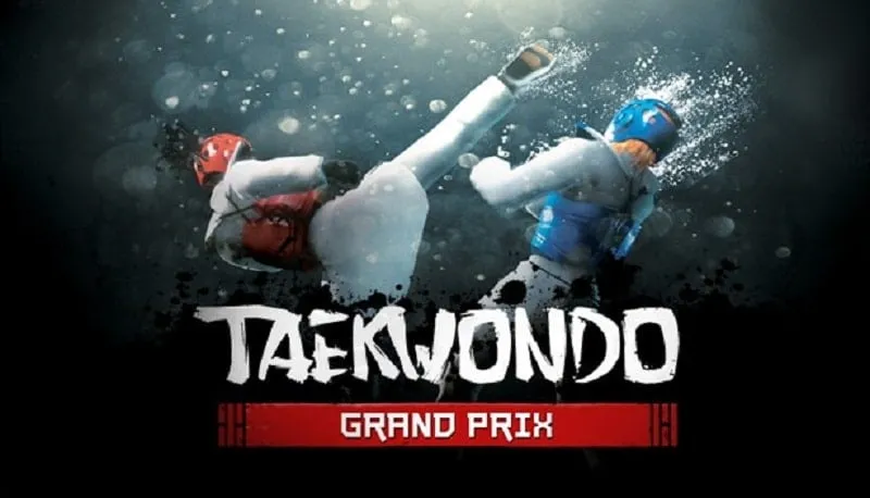 Ảnh chụp màn hình gameplay của Taekwondo Grand Prix, hiển thị môi trường thi đấu trong game và tùy chỉnh nhân vật.