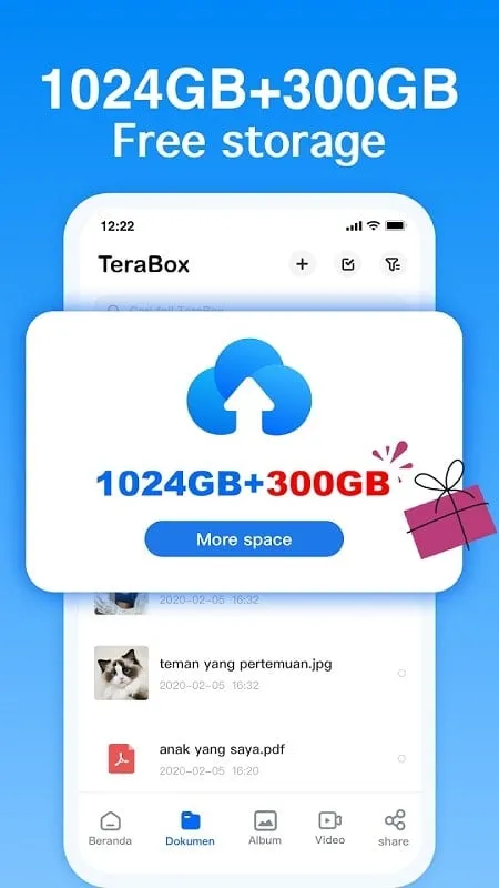 Tampilan antarmuka Terabox mod yang menunjukkan fitur premium