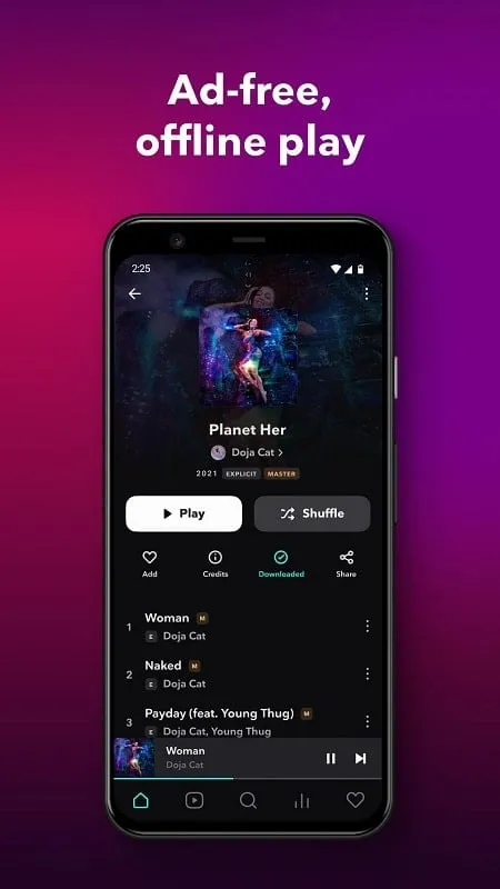 Tampilan antarmuka TIDAL Music Mod menunjukkan cara mengakses musik yang diunduh