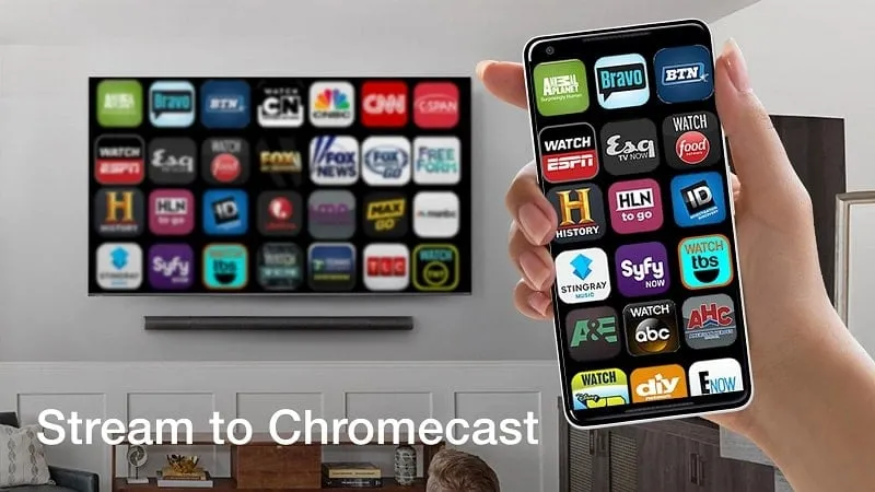 Pantalla de transmisión del mod TV Cast Chromecast