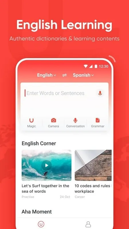 U Dictionary mod interface showing premium features