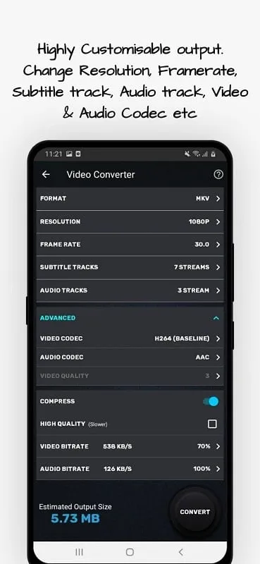 Video Converter mod interface displaying format selection options