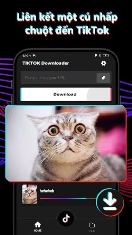 Hướng dẫn từng bước tải xuống Video Downloader for Tiktok mod